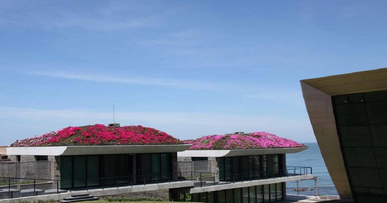Playa Vik Jose Ignacio Villa ภายนอก รูปภาพ